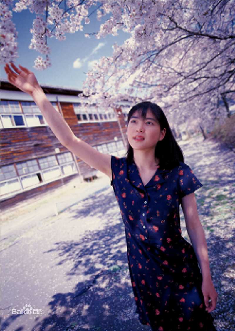 精选上野树里(Juri Ueno)精彩图册