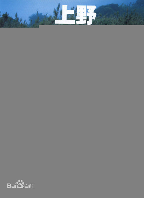 精选上野树里(Juri Ueno)精彩图册