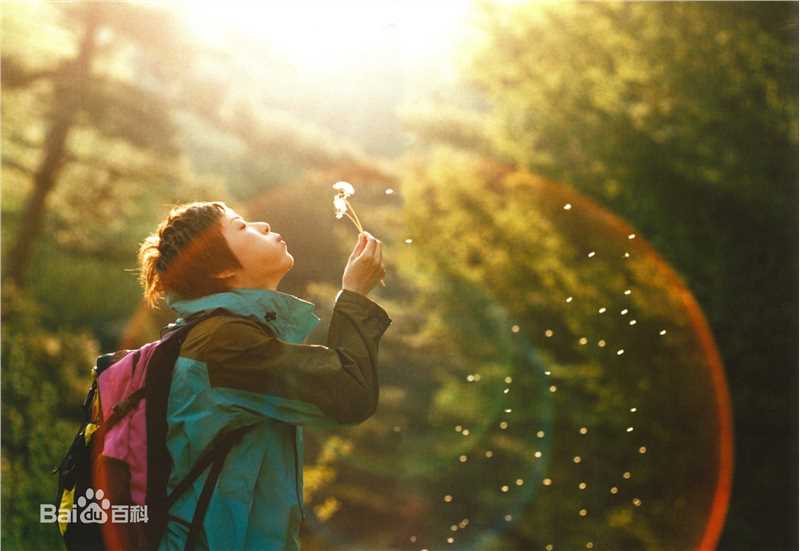 精选上野树里(Juri Ueno)精彩图册