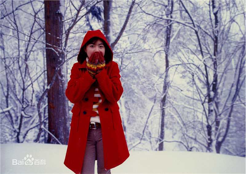 精选上野树里(Juri Ueno)精彩图册