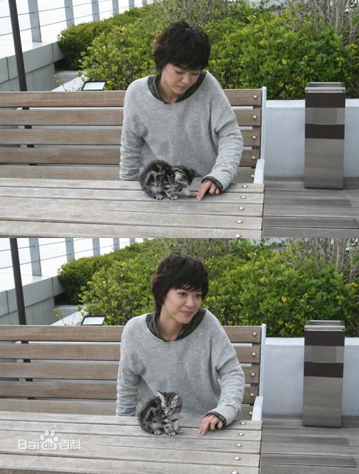 精选上野树里(Juri Ueno)精彩图册