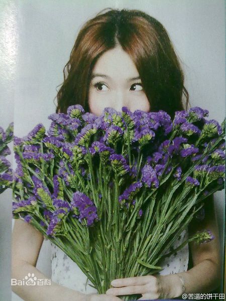 田馥甄(Hebe Tien、Anita)精彩图册1