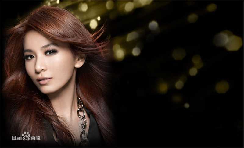 田馥甄(Hebe Tien、Anita)2011年代言欧莱雅图册