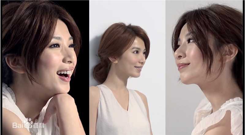 田馥甄(Hebe Tien、Anita)2011年代言欧莱雅图册