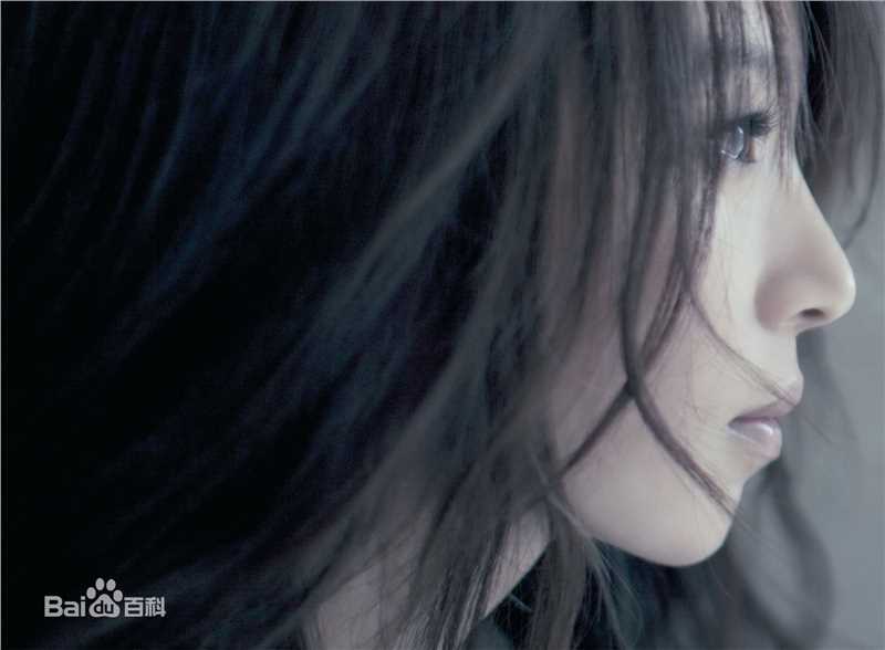 精选田馥甄(Hebe Tien、Anita)在2010年《To hebe》音乐专辑中的图册