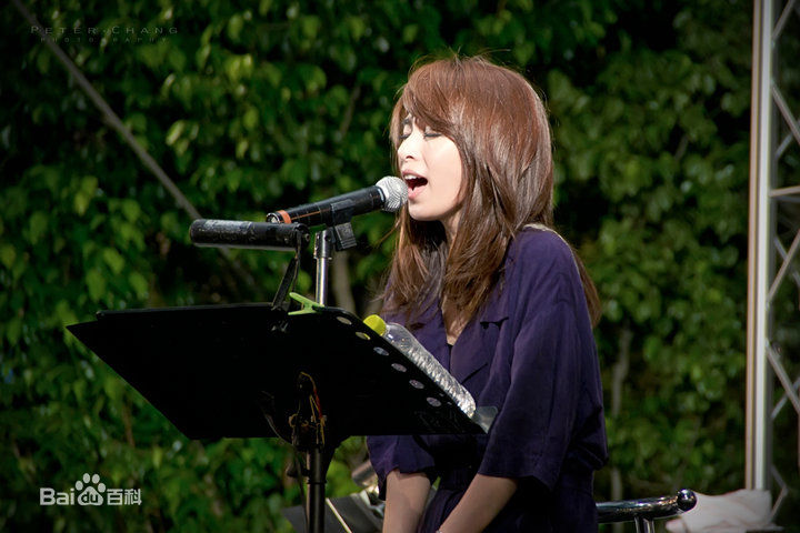 高清田馥甄(Hebe Tien、Anita)在2010-2011年《to hebe》专辑宣传活动中的图集