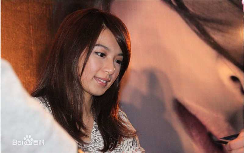 最全田馥甄(Hebe Tien、Anita)在2010年《to hebe》专辑北京签售会中的壁纸