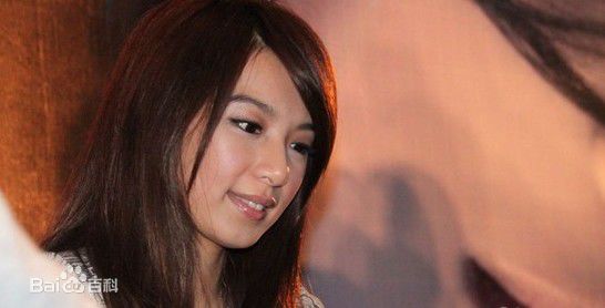 最全田馥甄(Hebe Tien、Anita)在2010年《to hebe》专辑北京签售会中的壁纸