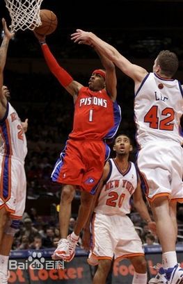 阿伦·埃泽尔·艾弗森(Allen Ezail Iverson)活塞时期图册