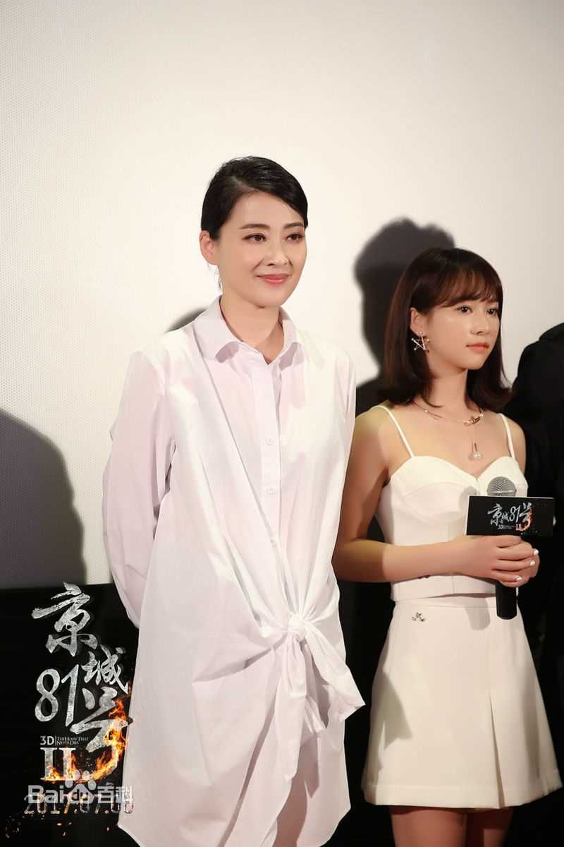 王水林《京城81号2》的剧照和发布会的照片