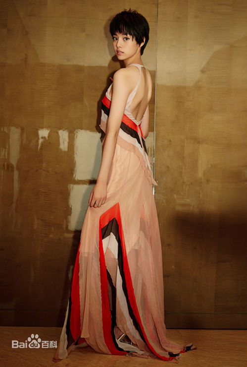 张艺上出席上海电影节壁纸壁纸