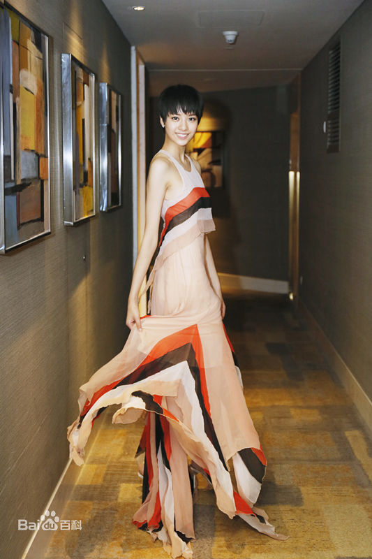 张艺上出席上海电影节壁纸壁纸