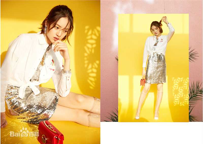 最全张艺上在《FireBible》中的壁纸