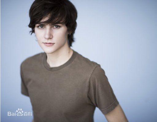 格斯·范·桑特(Gus Van Sant)哈维米克靓照前后照片