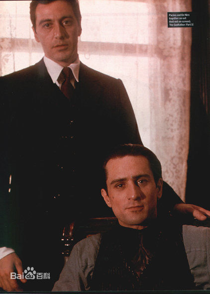 罗伯特·德尼罗(Robert De Niro/Robert Mario De Niro Jr.)德尼罗和帕西诺素颜照相册