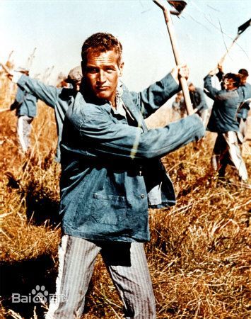 罗伯特·雷德福(Robert Redford)影视作品图片图集