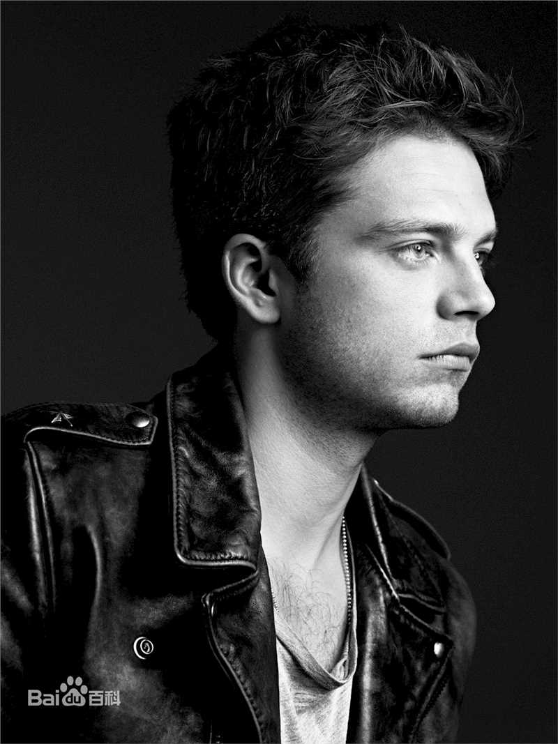 精选塞巴斯蒂安·斯坦(Sebastian Stan)