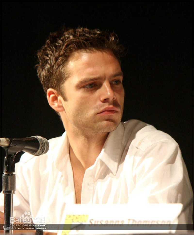 精选塞巴斯蒂安·斯坦(Sebastian Stan)