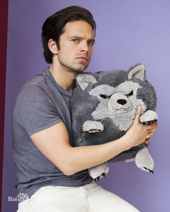最优质塞巴斯蒂安·斯坦(Sebastian Stan)生活照