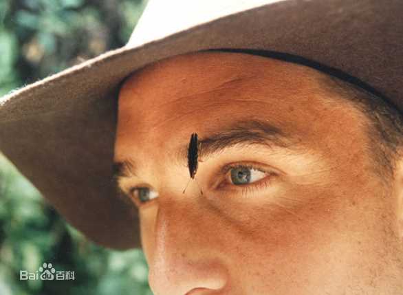 最优质马修·麦康纳(Matthew McConaughey)精彩图册