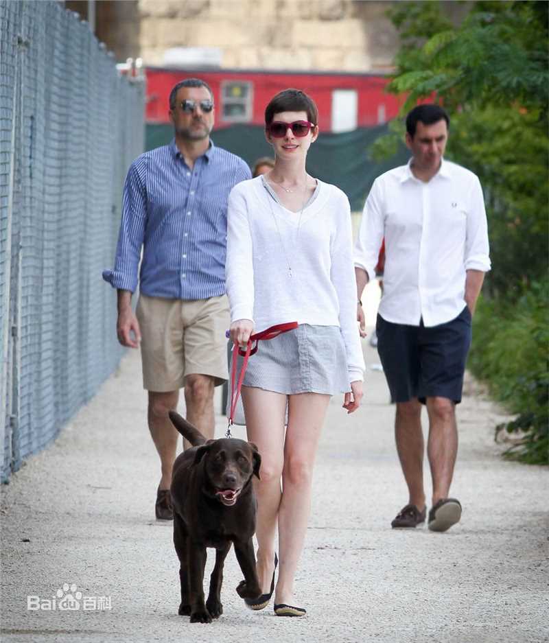 最全安妮·海瑟薇(Anne Hathaway)精彩图册