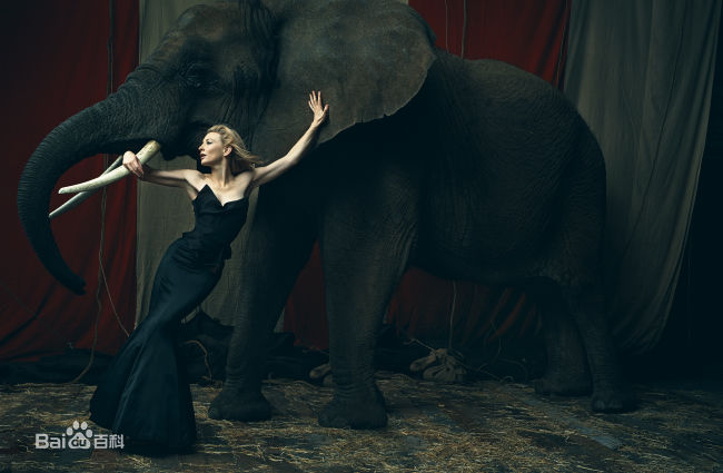 最全凯特·布兰切特(Cate Blanchett)精彩图册