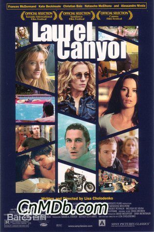 弗兰西斯·麦克多蒙德(Frances McDormand)获奖作品图片图集