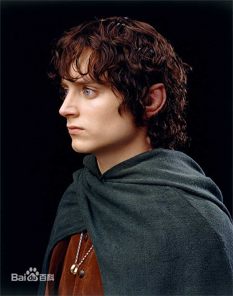 伊利亚·伍德(Elijah Jordan Wood)弗罗可爱多图片图集