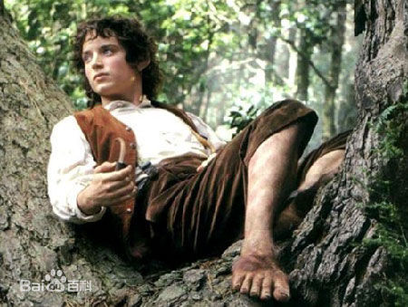 伊利亚·伍德(Elijah Jordan Wood)《指环王》最全剧照