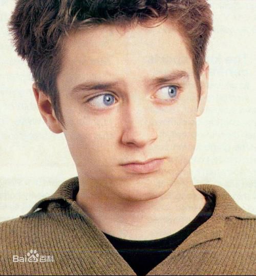 伊利亚·伍德(Elijah Jordan Wood)