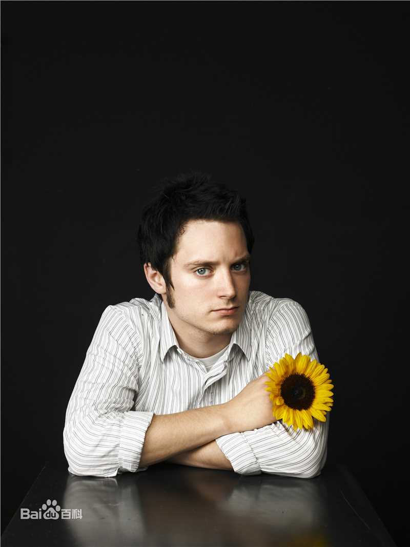 精选伊利亚·伍德(Elijah Jordan Wood)