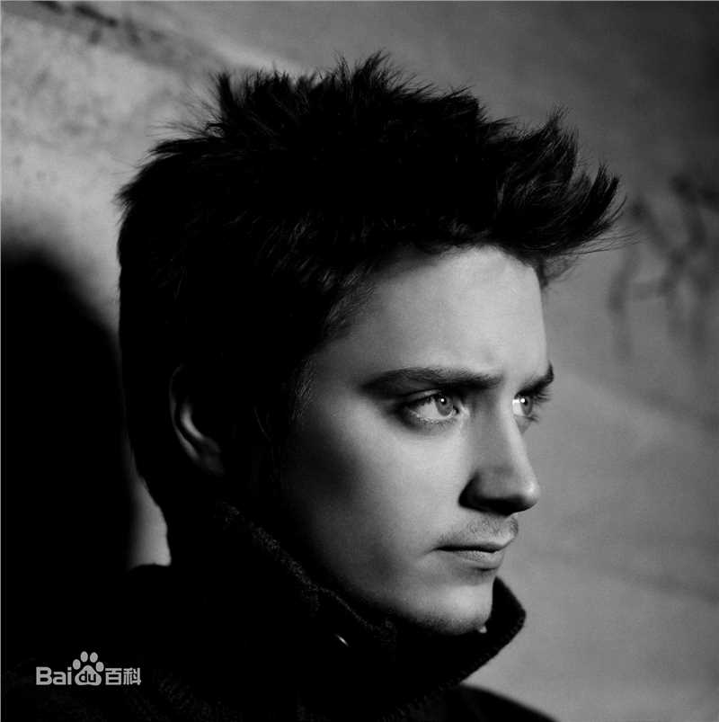 最优质伊利亚·伍德(Elijah Jordan Wood)精彩图册