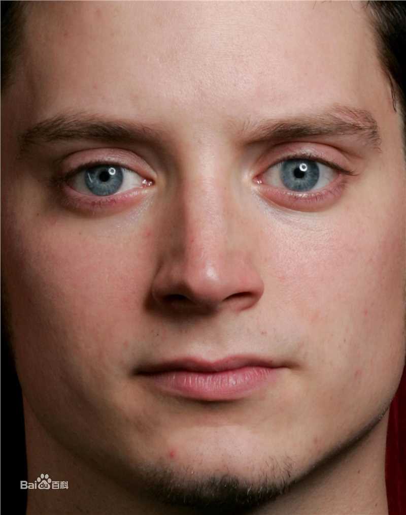 最优质伊利亚·伍德(Elijah Jordan Wood)精彩图册