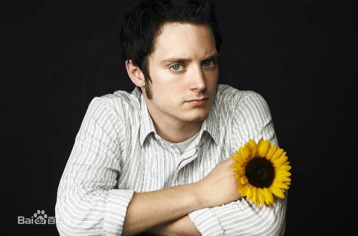 精选伊利亚·伍德(Elijah Jordan Wood)图片