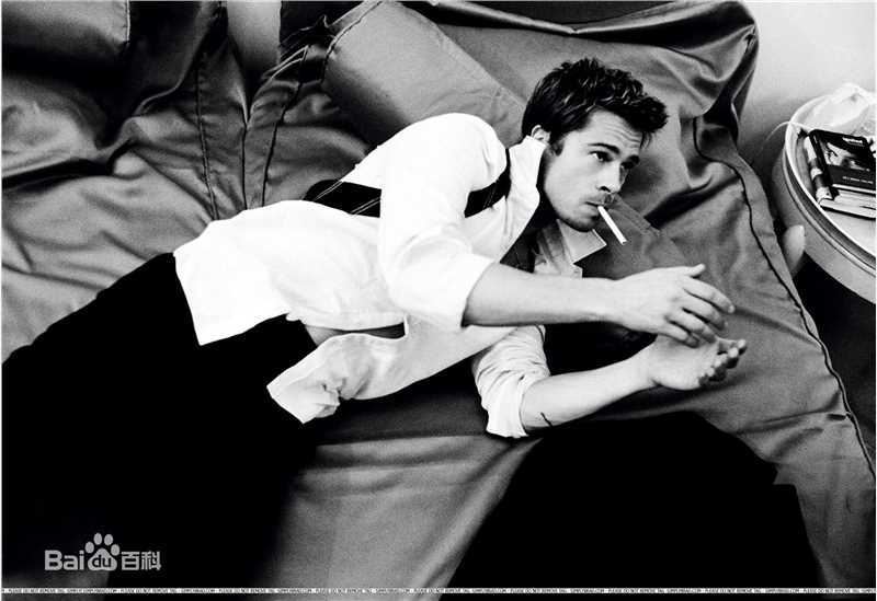 最优质布拉德·皮特(Brad Pitt)生活照