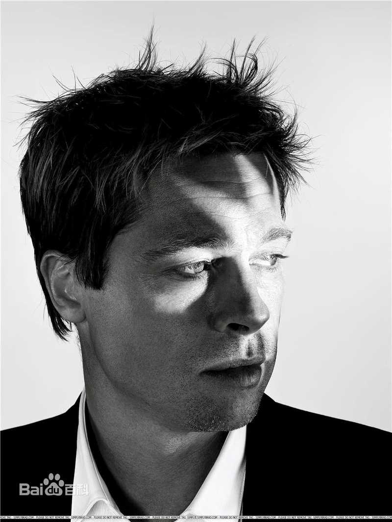 最优质布拉德·皮特(Brad Pitt)生活照