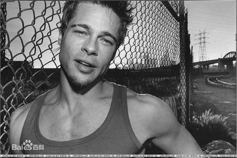 最优质布拉德·皮特(Brad Pitt)生活照