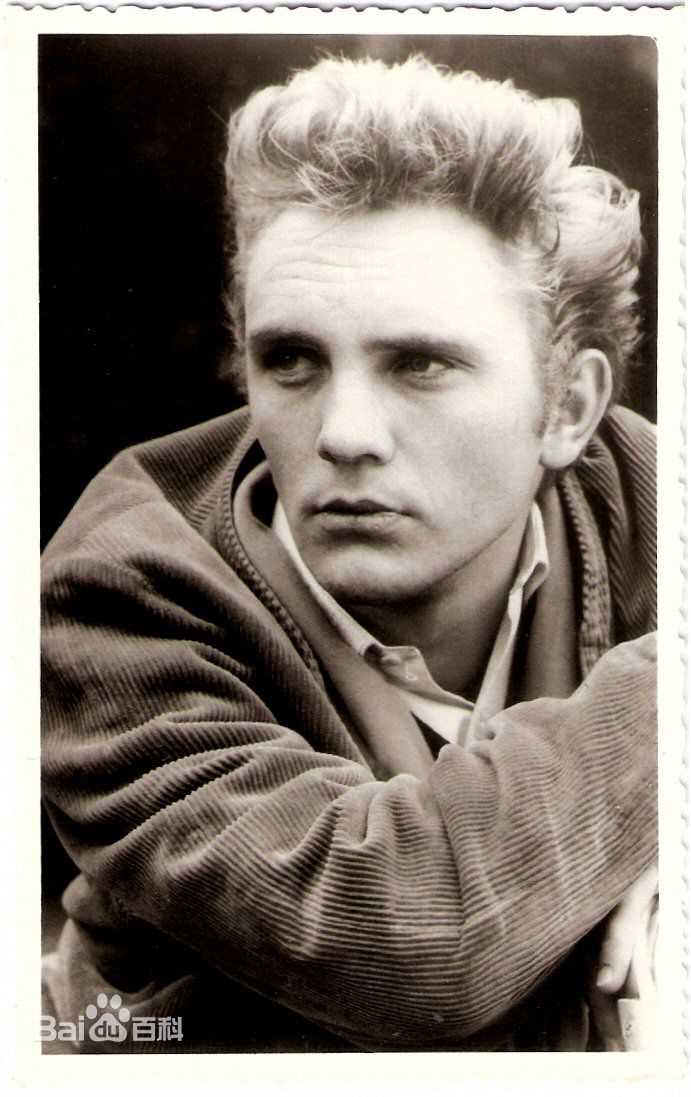 最新特伦斯·斯坦普(Terence henry Stamp)精彩图册