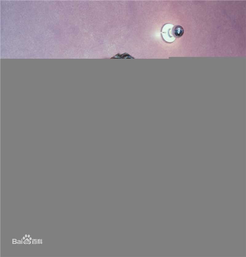 希斯·莱杰(Heath Ledger)精彩图册