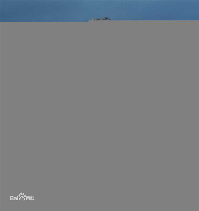 高清希斯·莱杰(Heath Ledger)精彩图册