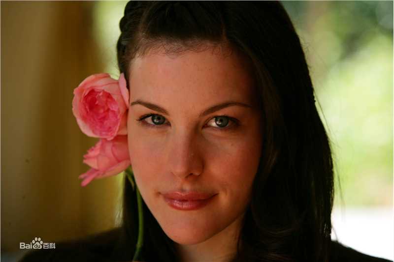 丽芙·泰勒(Liv Tyler)精彩图册