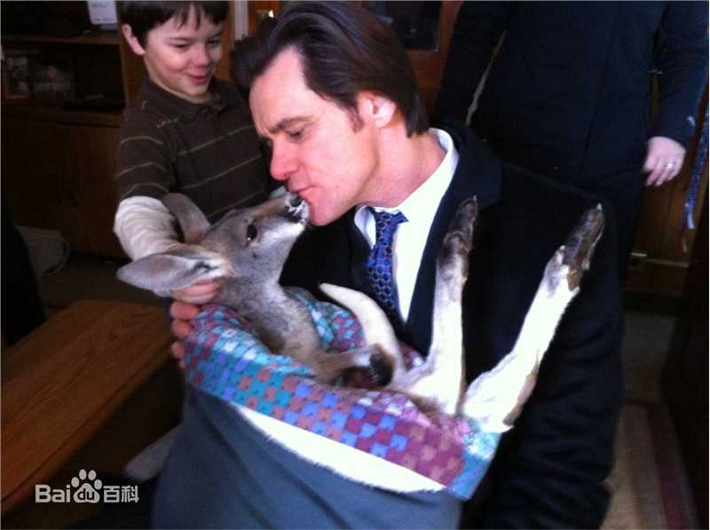 高清金·凯瑞(Jim Carrey)精彩图册