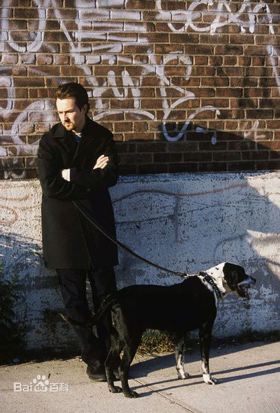 高清爱德华·哈里森·诺顿(Edward Harrison Norton)精彩图册