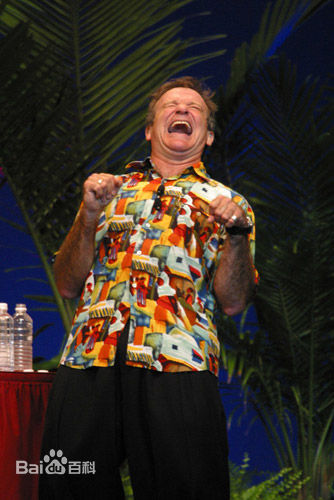 罗宾·麦罗林·威廉姆斯(Robin McLaurim Williams)高清剧照以及出席各种活动