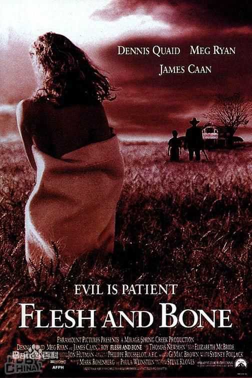 最全梅格·瑞恩(Meg Ryan)壁纸