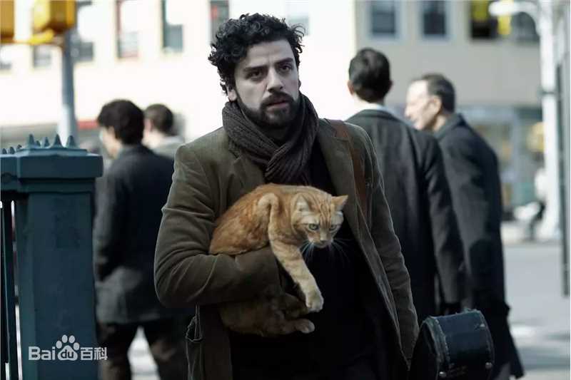 奥斯卡·伊萨克(Oscar Isaac)电影最优质剧照