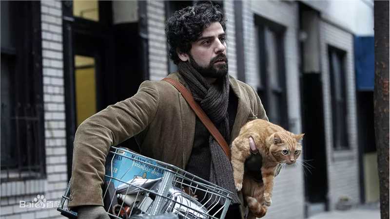 奥斯卡·伊萨克(Oscar Isaac)电影最优质剧照