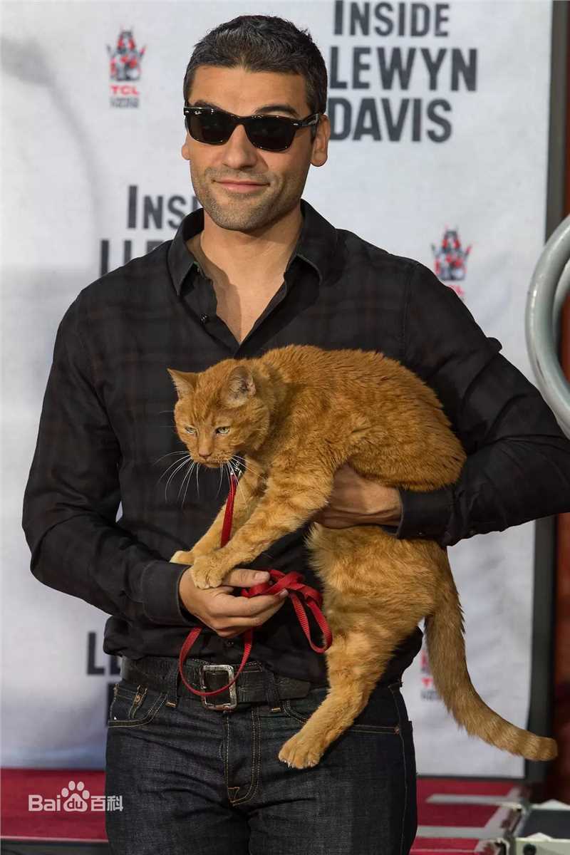 高清奥斯卡·伊萨克(Oscar Isaac)图片