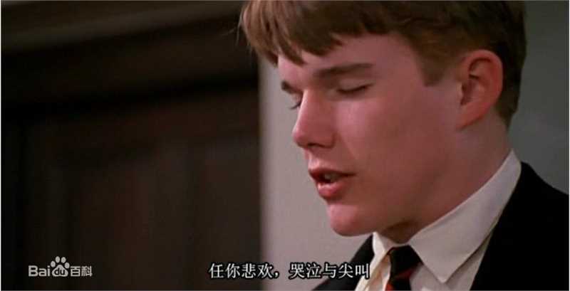 最新伊桑·霍克(Ethan Hawke)精彩图册