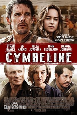 最优质伊桑·霍克(Ethan Hawke)生活照